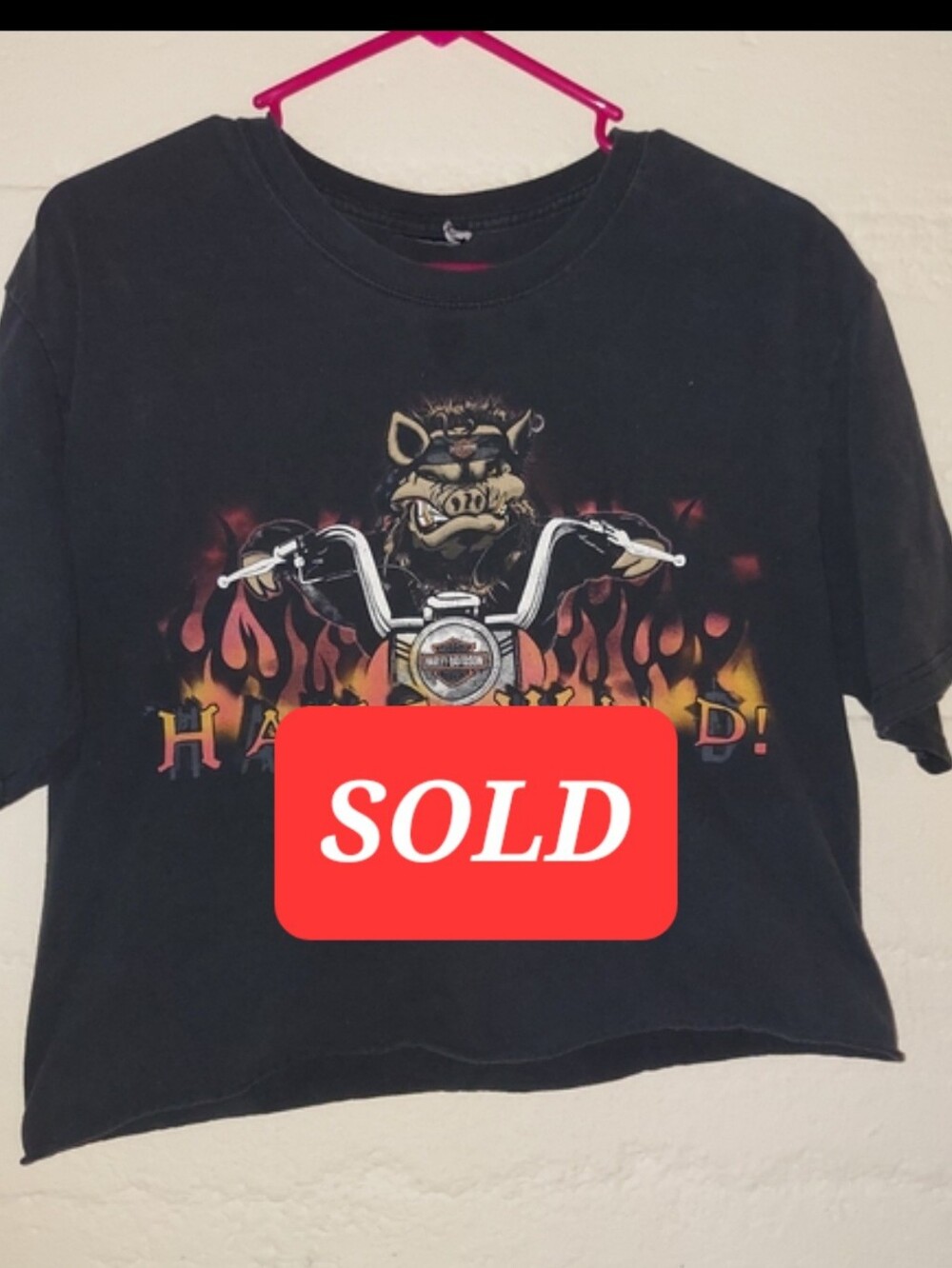 Harley-Davidson 'Hawg Wild' Graphic Tee